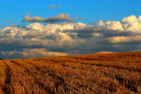 autumn fieldの写真素材