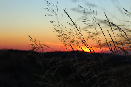 beautiful red sunsetの写真素材