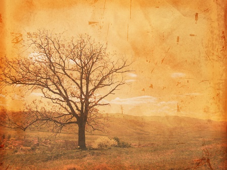vintage design - autumn tree over old paperの写真素材