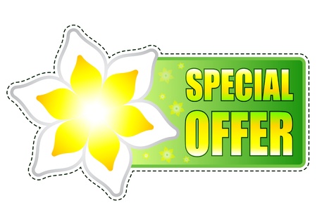 spring special offer banner - text in green label with white yellow flowers, business conceptの写真素材