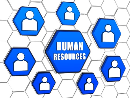 human resources words and person signs in 3d blue hexagons in cellular structure, business conceptの写真素材