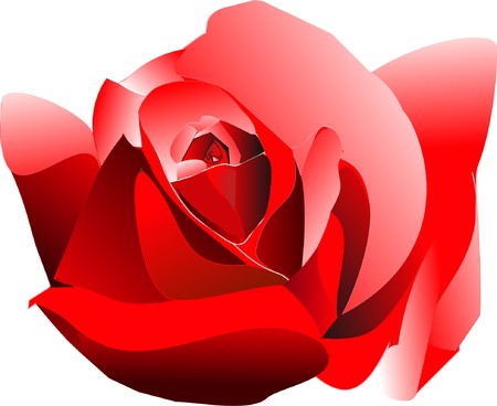 image of a red roseのイラスト素材
