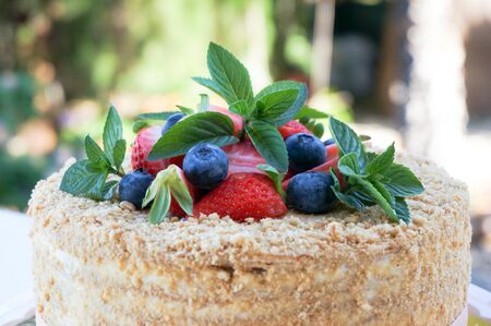 Homemade cake blueberries strawberries and peppermint herb decoration details