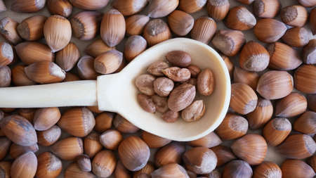 Wooden spoon with peeled hazelnuts on whole nuts background