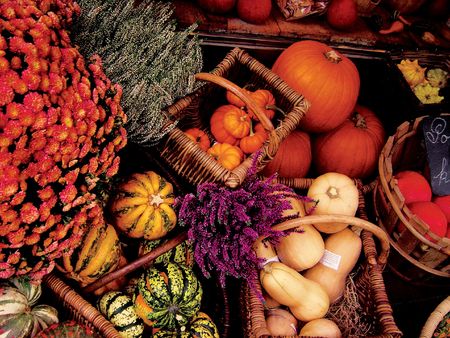 medley of squashの写真素材