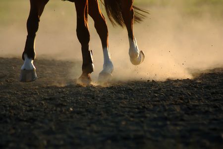 Horse in a gallop with feet in sandの写真素材