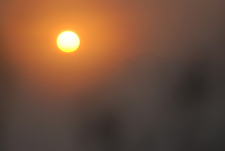 Morning with fog in the acient forestの写真素材