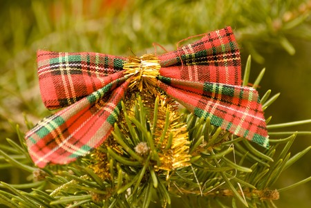 Close up of color decorative xmas ribbonの写真素材