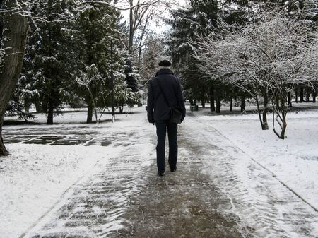 A gray-haired man in a black jacket walks along the snowy alley of a winter park. Christmas trees in the snow. Back view. Close-up. Selective focus. Copy space.の写真素材