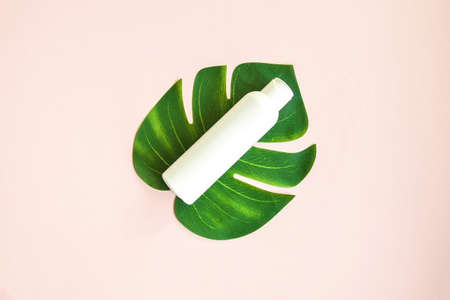White plastic cosmetic lotion bottle mock-up with cap lies on leaf of Monstera plant on pink background. Hygiene, Beauty and body skin care concept. Top view, flat lay. Copy space.の写真素材
