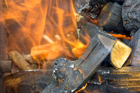 Bonfire made of branches of fruit trees. Flame flutters in wind. Process of preparing coals for...