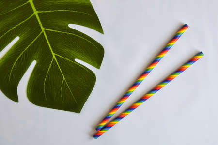 Two disposable colorful striped paper cocktail sticks and artificial monstera leaf on blue background. Eco friendly paper drinking straws. It's choice for reduce plastic waste. Top view. Copy space.の写真素材