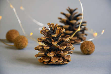Pine cones, dry sycamore seeds and yellow lights of Christmas garland on gray background. Close-up....