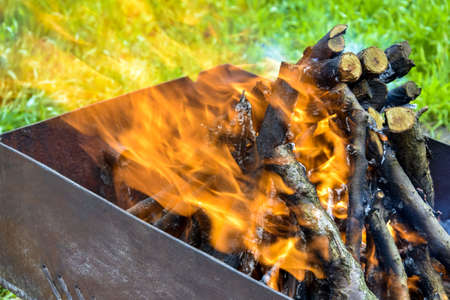 Bonfire made of branches of fruit trees. Flame flutters in wind. Process of preparing coals for...