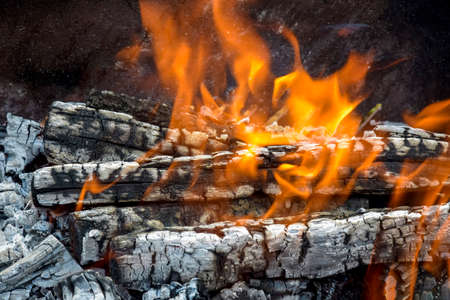 Big flame flutters in wind. Bonfire made of branches of fruit trees. Sawn apricot wood. Process of...