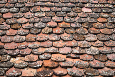 Fragment of ancient tiled roof of an old building. Tiles overgrown with moss. natural background....