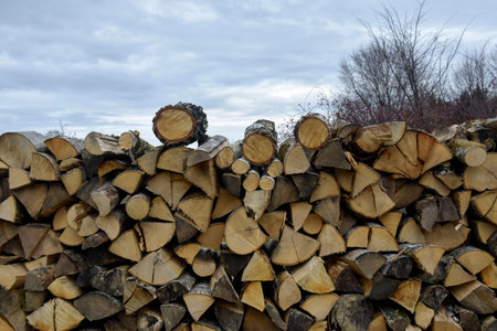 Sawn wood is stacked in woodpile. Wall of old wooden logs with cracked ends. Trees are visible in...