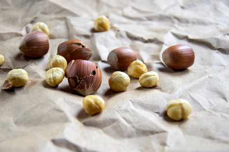 Ripe filbert kernels and hazelnuts in a shell on the background of crumpled craft paper. Health nutrition. close-up. copyspace. Shallow depth of field. selective focus.の写真素材
