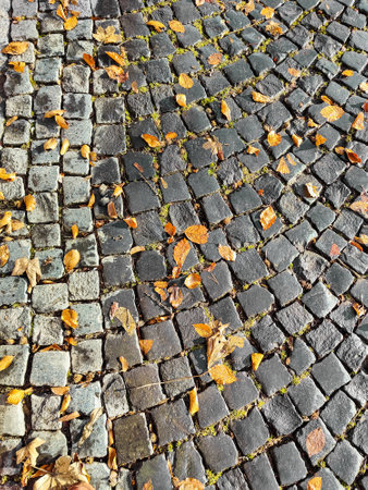 Fallen yellow leaves lie on an old cobbled road, paved way, full frame. copyspace. selective focus.の写真素材