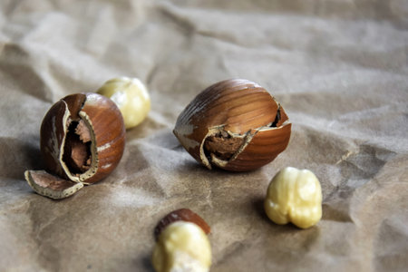 Ripe filbert kernels and hazelnuts in a shell on the background of crumpled craft paper. Health nutrition. close-up. copyspace. Shallow depth of field. selective focus.の写真素材