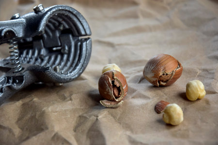 Nutcracker, filbert kernels and hazelnuts in shell on background of crumpled craft paper. Health...