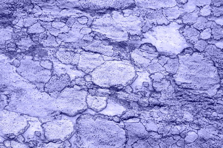 Texture of stone overgrown with moss, violet background. Unusual natural pattern, full frame. Toned...