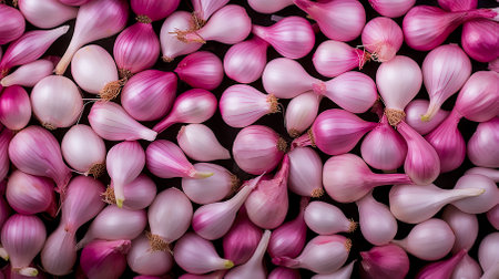Natural background of fresh onion shallots. Full frame. A quality product. Healthy eating. Close-up.の素材
