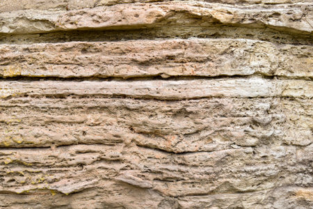 Close-up of texture of old limestone wall with lichen. Natural background. Full frame. Copy space. Selective focus.の写真素材