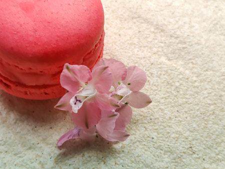 Sweet and tasty red French macaroon with delicate pink flowers on white tablecloth. Lightness and sophistication, atmosphere of true pleasure. Close-up. Copy space for text.の写真素材