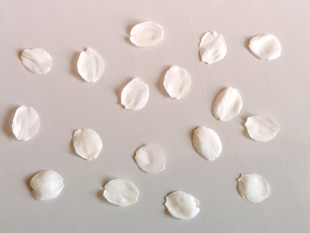White rose scattered petals on gray background, surface under soft light. Delicate floral arrangement with blurred shadows. Close up. Selective focus.の写真素材