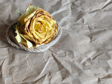 Dried yellow rose head on background of craft crumpled paper. Vintage composition. Concept photo reflecting relationships, love and mutual understanding. Copy space. Close-up.の写真素材