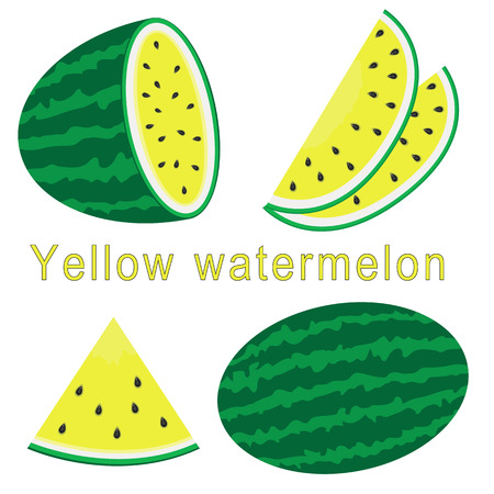 Vector illustration of yellow watermelon isolated on whiteのイラスト素材