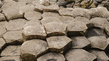 details of the geomorphic columns at the giant\'s causeway  heritage site