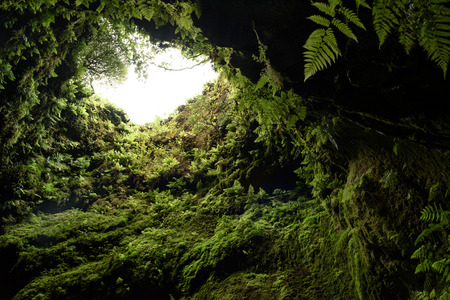 view of the cave algar do cavalho an hole in the heart of the earth. terceira, azore, portugalの写真素材