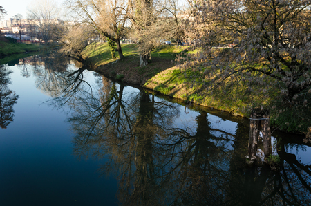reflection of trees over the river stream during autumn, Padua, italyの写真素材