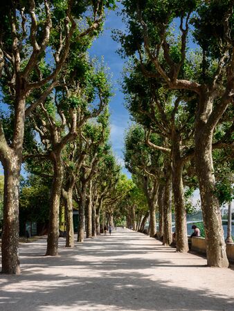 Mondego Park in Coimbra Portugal, summer 2019の写真素材