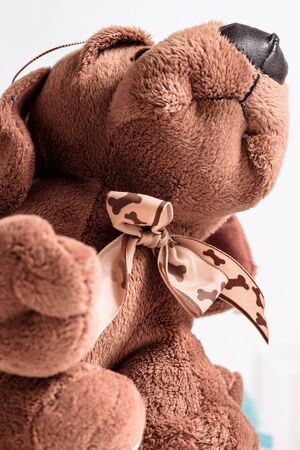 view of a plush dogs from below. toy , childhood, kidの写真素材