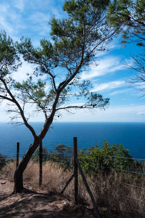 view of mediterrean sae from an hillの写真素材
