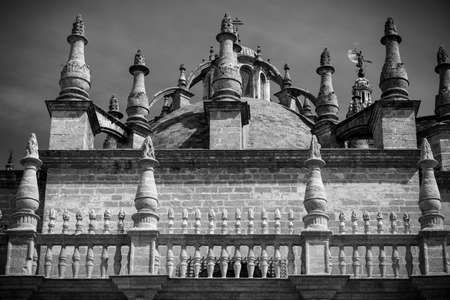 detail of the cathedral in seville, spain. black and white