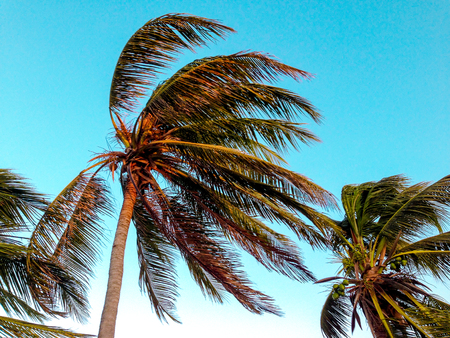 Images of landscapes of Panama taken in my free timeの写真素材
