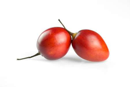 tamarillo fruits on whiteの写真素材