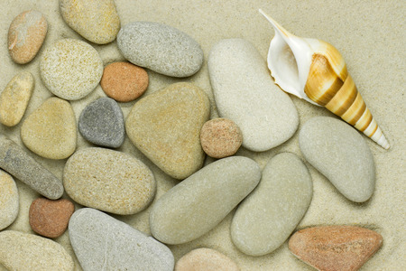 Sea shell and pebble on sandの写真素材