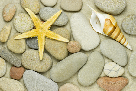 starfish and pebbles on the beachの写真素材