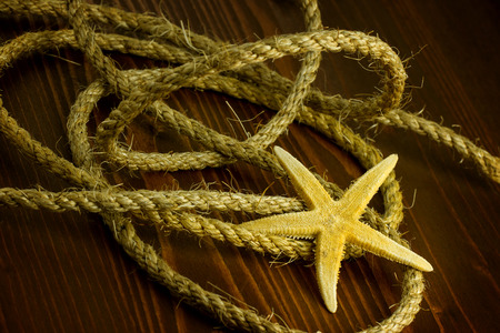 starfish and ropeの写真素材