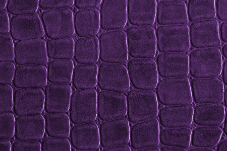 Purple crocodile leather texture