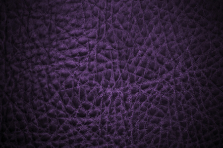 leather texture purpleの写真素材