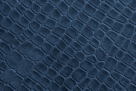 Blue crocodile leather imitation texture
