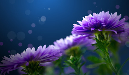 flower designの写真素材