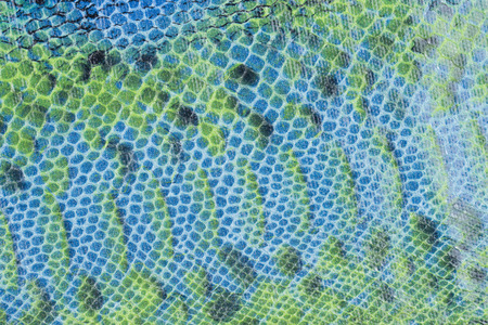 snake skin
