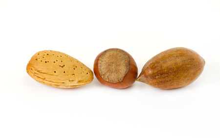 almond,filbert and pecan nut on wihite